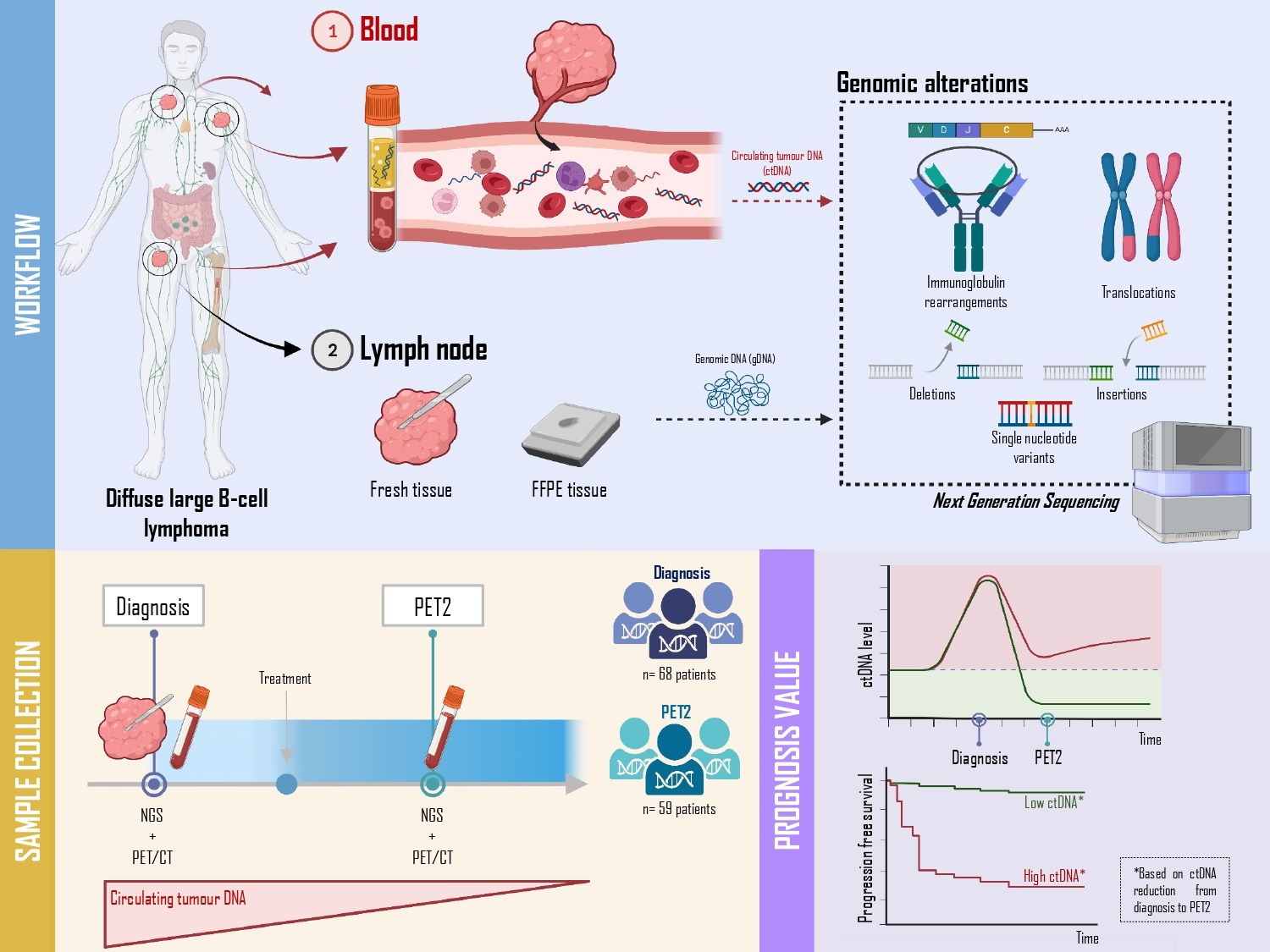 IBSAL-linfoma-grafico.jpg